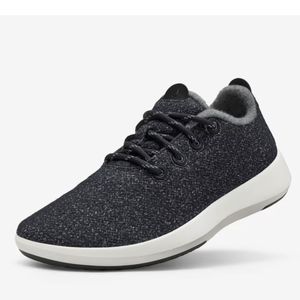 Allbirds Wool Runner Mizzle